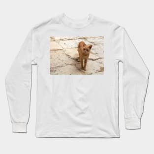 Cats of Malta - stray ginger tabby cat Long Sleeve T-Shirt